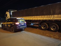 PRF apreende cerca de 24m³ transportados ilegalmente em Palmeiras do Tocantins/TO