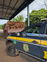 PRF apreende 15 m³ de madeira nativa transportada ilegalmente em Luzinópolis/TO