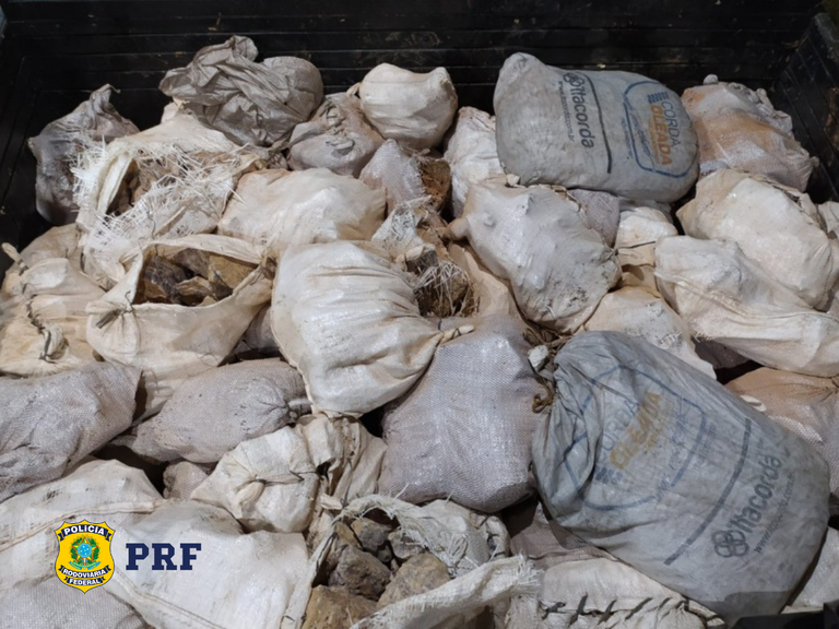 Design sem nome (1).png