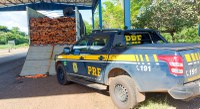 PRF apreende 29m³ de madeira transportados ilegalmente