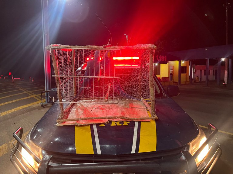 WhatsApp Image 2023-01-31 at 23.22.20.jpeg