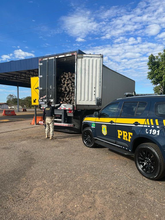 Apreensão de madeira