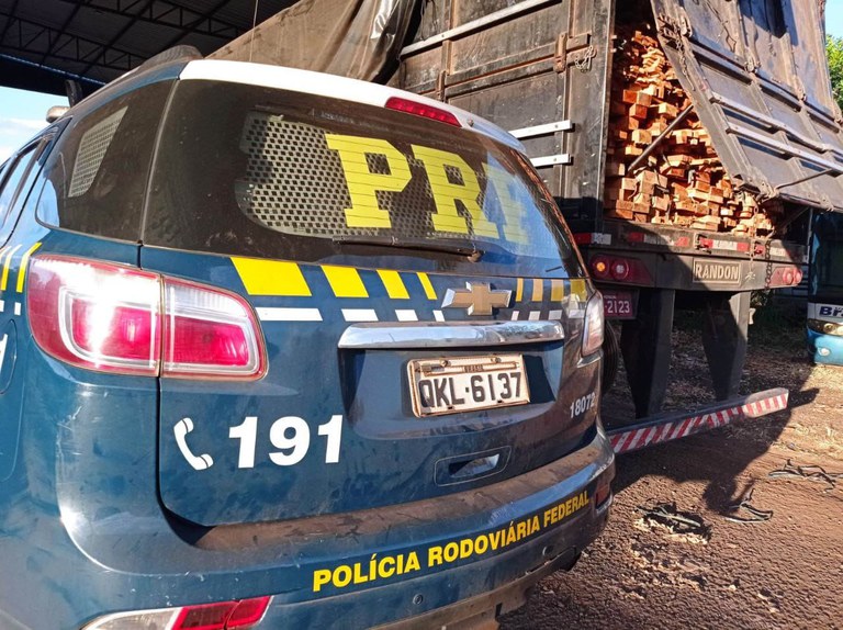 Apreensão de madeira