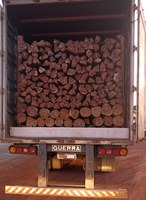PRF apreende 43m³ de madeira transportados ilegalmente em Luzinópolis