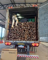 PRF apreende  36 m³ de madeira transportados ilegalmente em Araguaína/TO