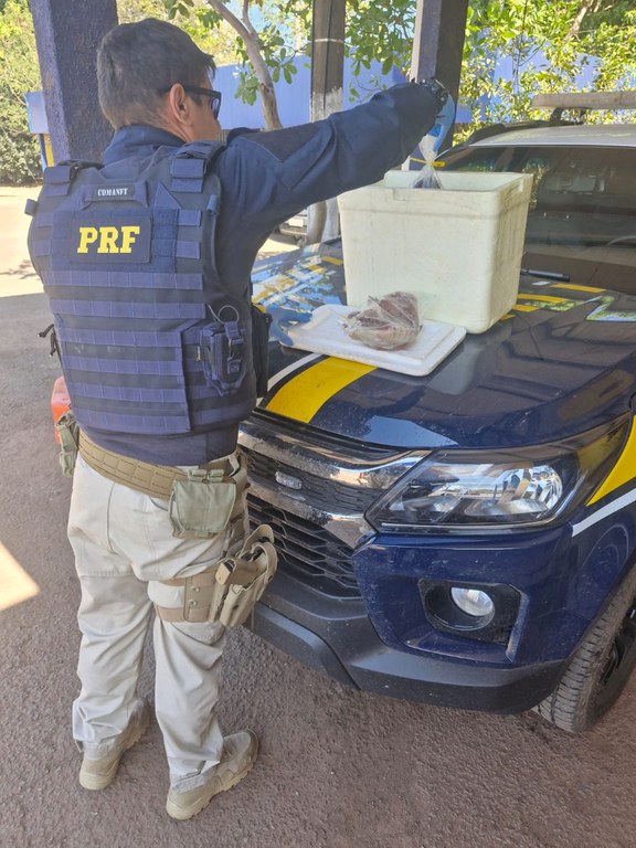 WhatsApp Image 2024-07-02 at 11.31.37.jpeg