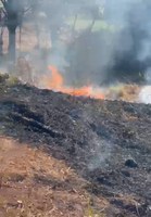 PRF prende responsáveis por provocar incêndio em mata às margens da BR 153