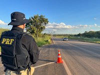 PRF flagra animal em condição de risco às margens da BR-242