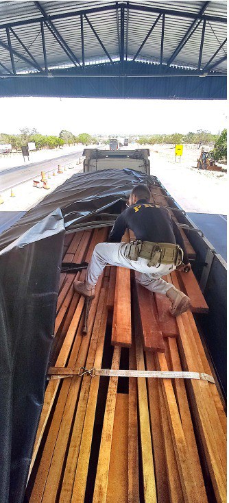 WhatsApp Image 2025-08-18 at 11.04.00.jpeg