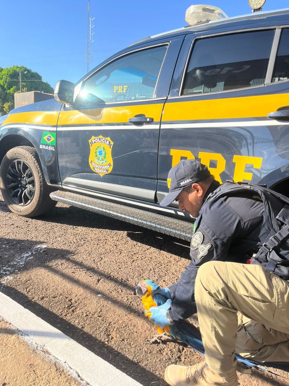 WhatsApp Image 2025-08-25 at 12.46.00.jpeg