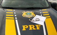 PRF prende foragido da justiça na BR-153 em Guaraí/TO