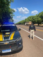 PRF prende procurados por homicídio e pensão alimentícia durante o feriado de Natal no Tocantins