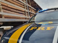 Em Araguaína/TO, PRF apreende 48,41 m³ de madeira ilegal na BR-153