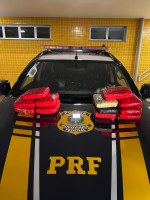 PRF apreende skunk escondido em painel de veículo em Araguaína/TO