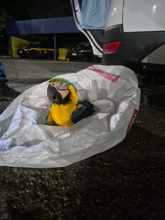 WhatsApp Image 2025-06-30 at 10.05.22.jpeg