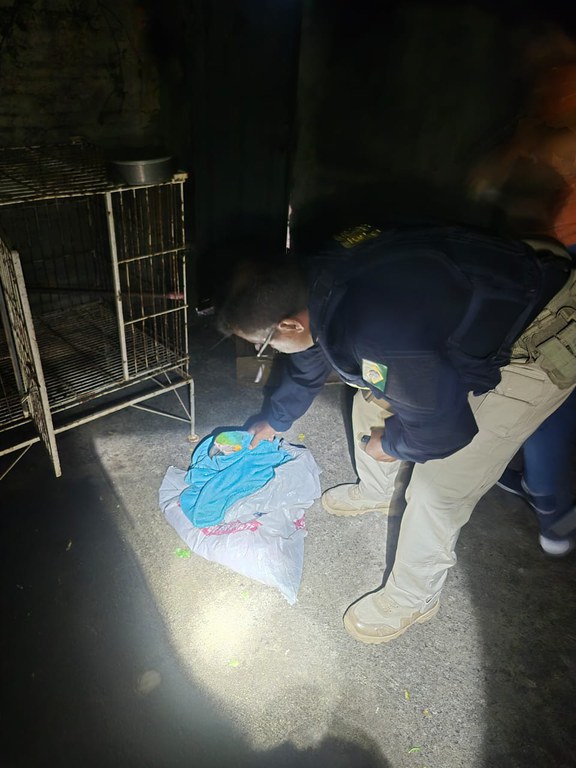 WhatsApp Image 2025-06-30 at 10.05.31.jpeg