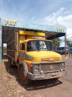 PRF apreende caminhão transportando animais de forma irregular em Palmeiras do Tocantins/TO