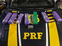 PRF apreende 7 kg de maconha em ônibus interestadual em Guaraí/TO