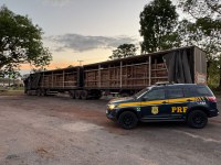 PRF apreende 54,4 m³ de madeira irregular em Guaraí/TO