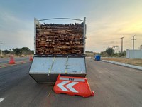 PRF apreende 38,14 m³ de madeira serrada transportada irregularmente em Araguaína/TO