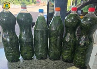 PRF apreende seis garrafas de “cachaça com maconha” em Paraíso do Tocantins