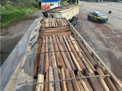 Carga de itaúba era levada com guias florestais inválidas e destino interestadual