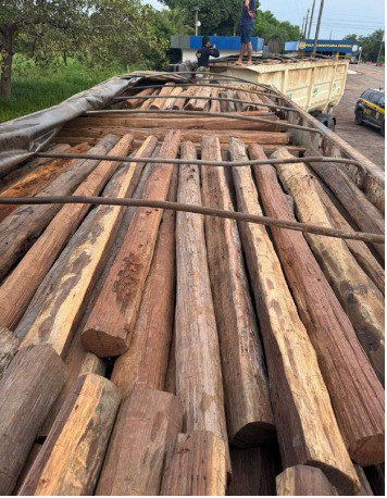 WhatsApp Image 2026-01-12 at 09.20.39 (1).jpeg