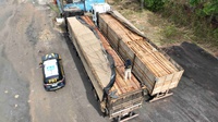 PRF apreende 97 m³ de madeira ilegal no Tocantins durante a Semana Mundial do Meio Ambiente