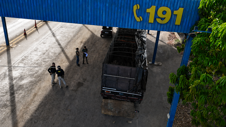 PRF apreende mais de 19 m³ de madeira nativa 4.png
