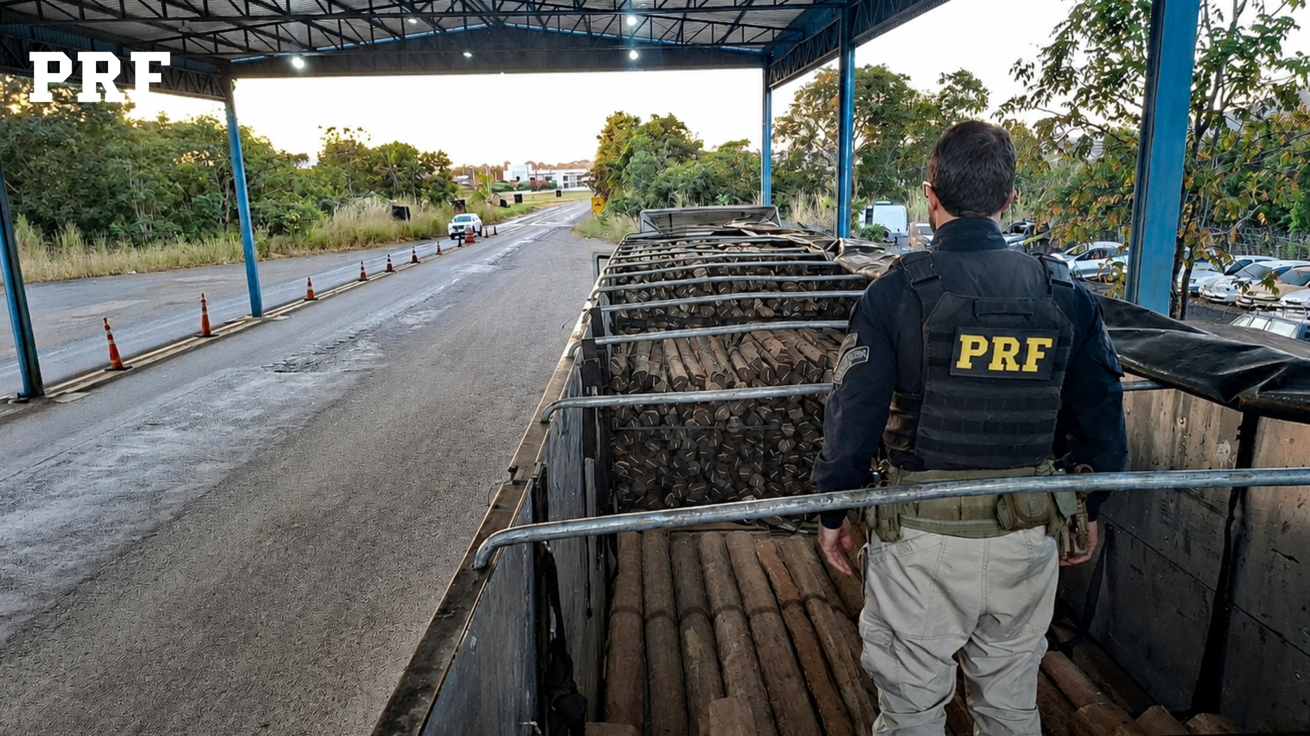 Policial rodoviário federal inspeciona carga de madeira transportada em caminhão durante fiscalização em unidade operacional da PRF. A carga ocupa grande parte da carroceria do veículo, estacionado em área coberta de fiscalização rodoviária.