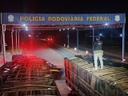 PRF Madeira ilegal 2.jpeg