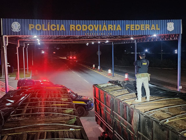 PRF Madeira ilegal 2.jpeg