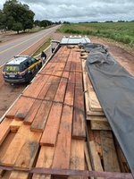 PRF apreende 40,3 m³ de madeira irregular na BR-153, em Crixás do Tocantins/TO