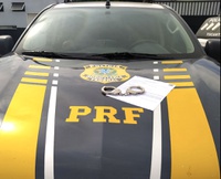 PRF cumpre mandado de prisão contra passageiro de ônibus na BR-153, em Guaraí/TO