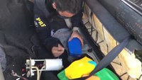 PRF apreende 9 kg de Crack escondidos no tanque de combustível de um carro