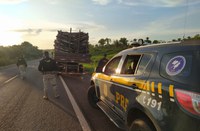 PRF apreende caminhão transportando carga ilegal de madeira nativa