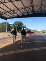 PRF apreende cerca de 50 kg de agrotóxico sendo transportado irregularmente