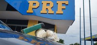 PRF apreende no Tocantins 3,1 kg de cocaína e crack com jovem de 25 anos