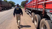 PRF inicia Operação Rodovida 2025/2026 no Tocantins com reforço na segurança viária