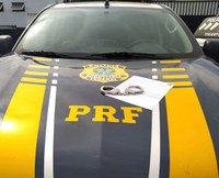 PRF prende foragidos por roubo, desacato e porte ilegal de arma de fogo no Tocantins