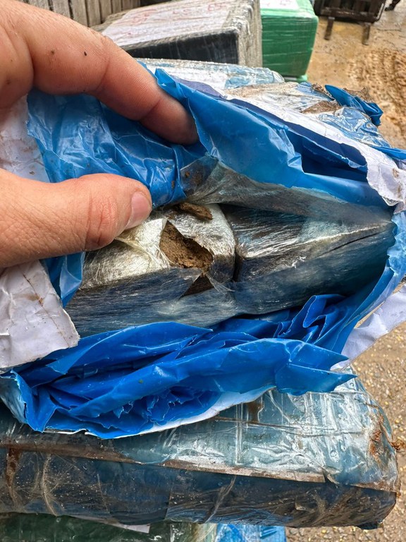 WhatsApp Image 2023-10-28 at 16.36.44.jpeg