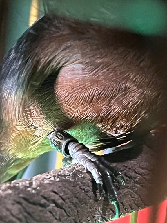 8a563439-a05f-4d99-973a-980d8c80b649 (1).JPG