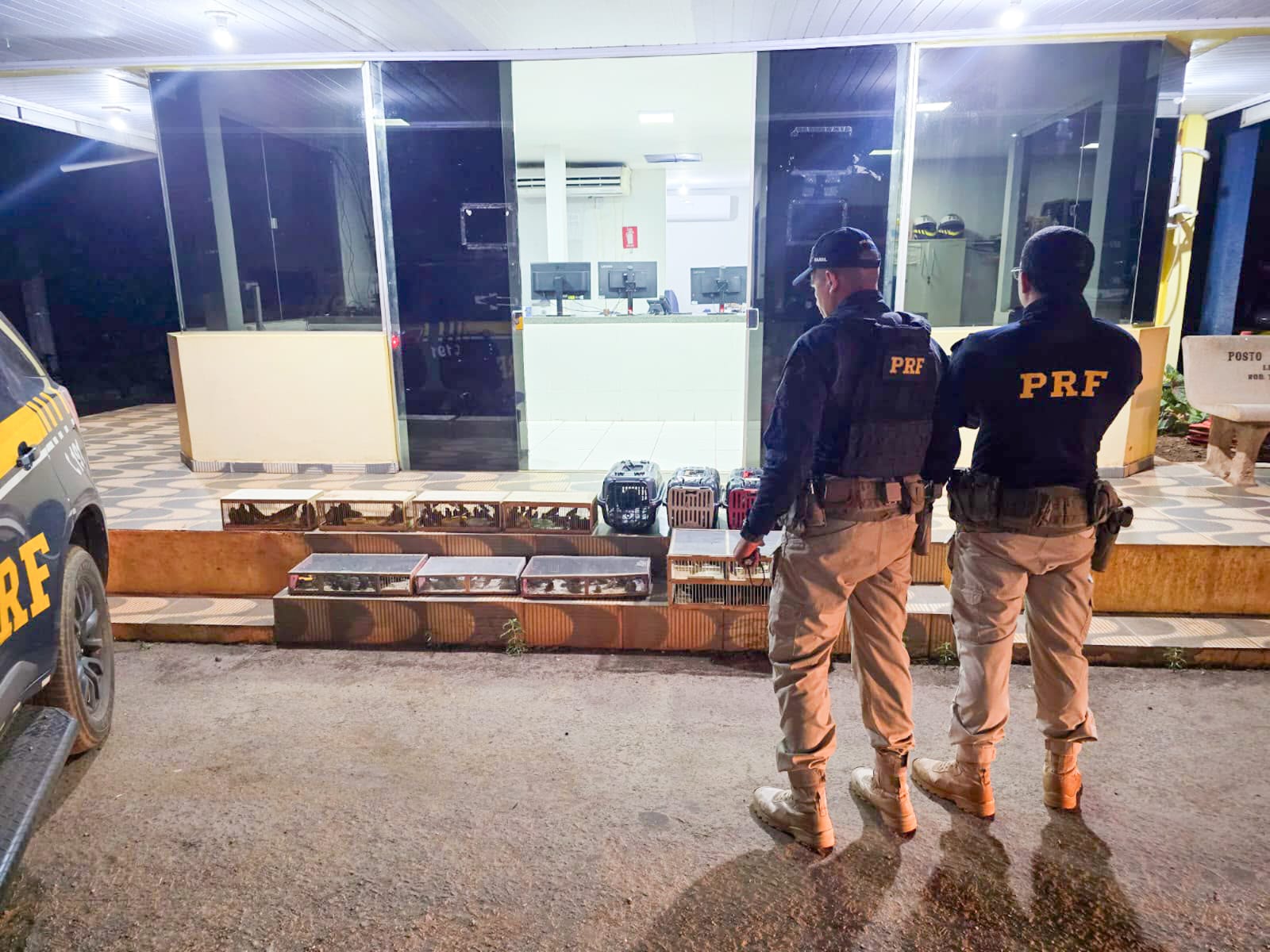 A imagem mostra dois agentes da PRF na frente de gaiolas com animais silvestres
