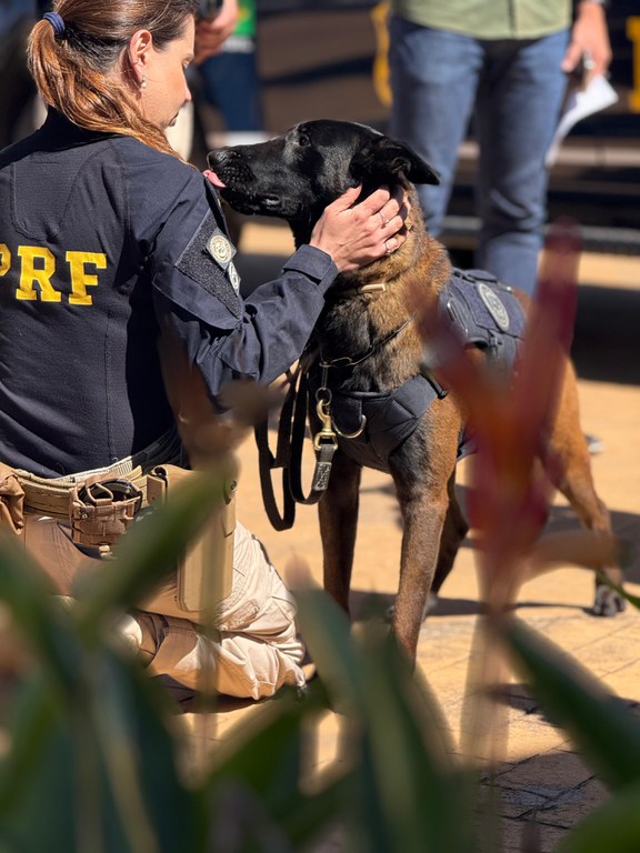 WhatsApp Image 2025-07-16 at 12.34.07.jpeg