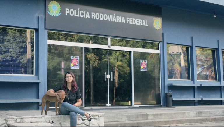 somos todos patinhas.jpg