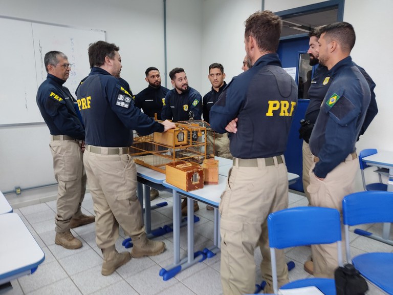 WhatsApp Image 2023-07-07 at 18.03.43 (2).jpeg