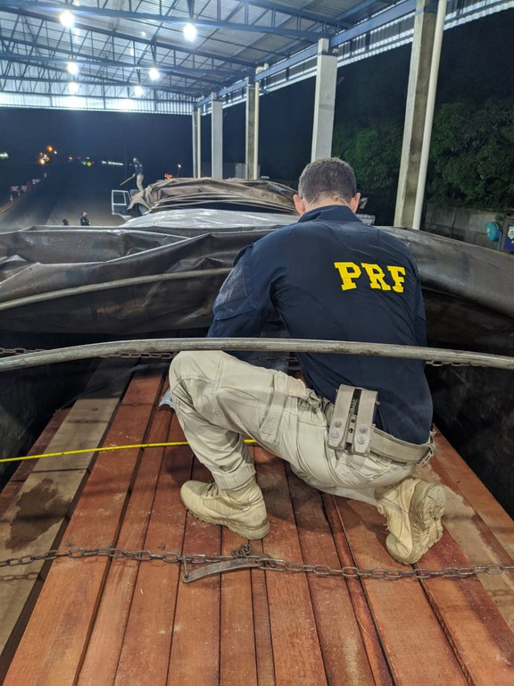 Em Ariquemes/RO, PRF realiza 02 flagrantes de crime ambiental