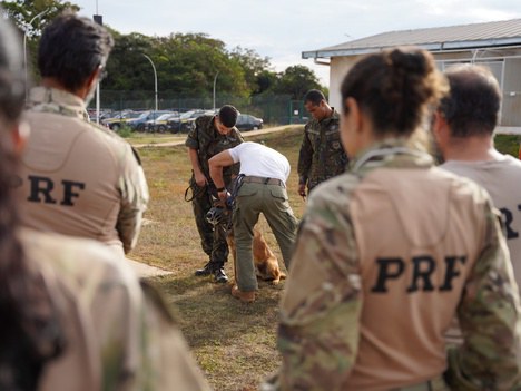 PRF realiza seminário sobre comportamento de cães farejadores