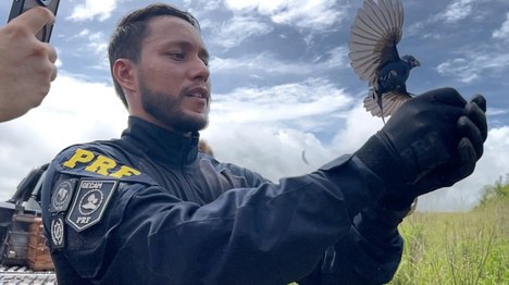 Operação Rotas da Fauna: PRF e Adema resgatam 517 animais em condições irregulares em Sergipe