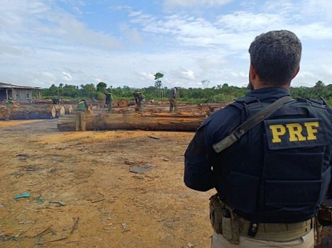 Operação Maravalha: PRF e forças de segurança apreendem mais de 14 mil m³ de madeira ilegal no Pará
